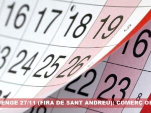 DIUMENGE 27/11 (FIRA DE SANT ANDREU): COMERÇ OBERT